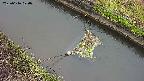 area10-20250616170036.jpg