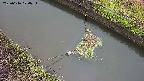 area10-20250616174035.jpg