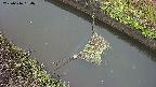 area10-20250616184036.jpg