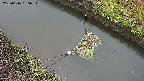 area10-20250616185035.jpg