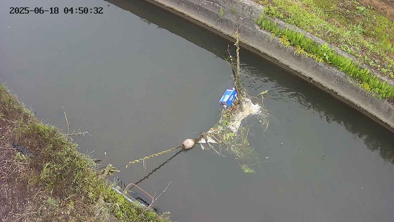 area10-20250618045032.jpg