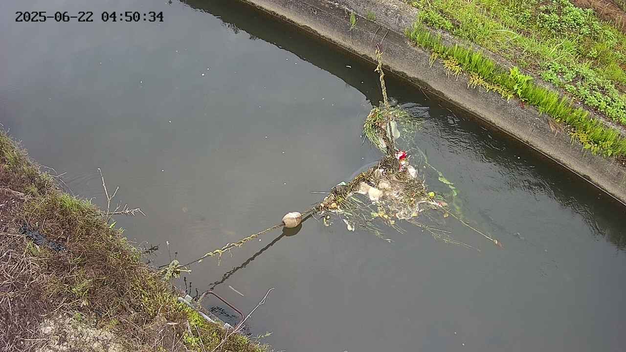 area10-20250622045036.jpg