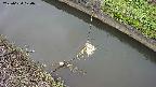 area10-20250624120034.jpg