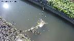 area10-20250624154036.jpg