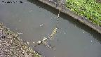 area10-20250625063034.jpg