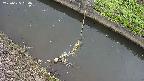 area10-20250625064035.jpg