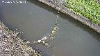 area10-20250625073041.jpg