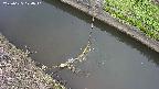 area10-20250625074040.jpg