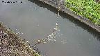 area10-20250626051034.jpg