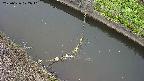 area10-20250626072041.jpg