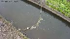 area10-20250626081041.jpg