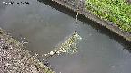 area10-20250626105040.jpg