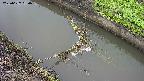 area10-20250627060034.jpg