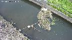 area10-20250630102035.jpg