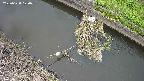 area10-20250630120036.jpg