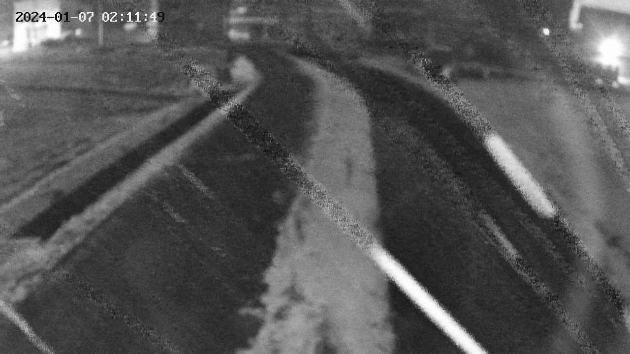 area11-20240107021150.jpg