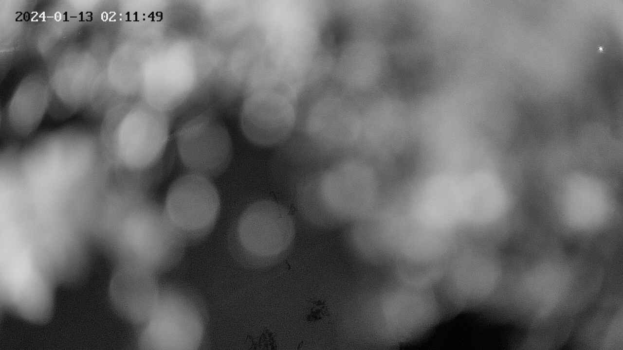 area11-20240113021150.jpg