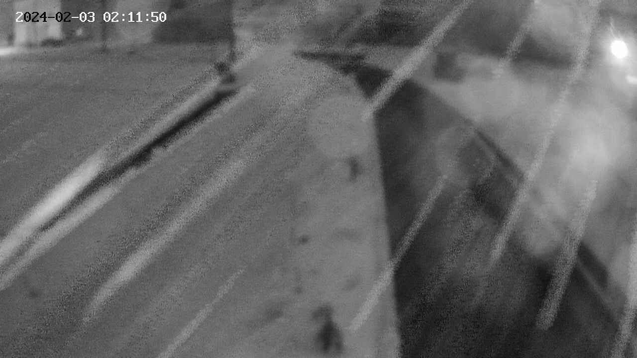 area11-20240203021150.jpg