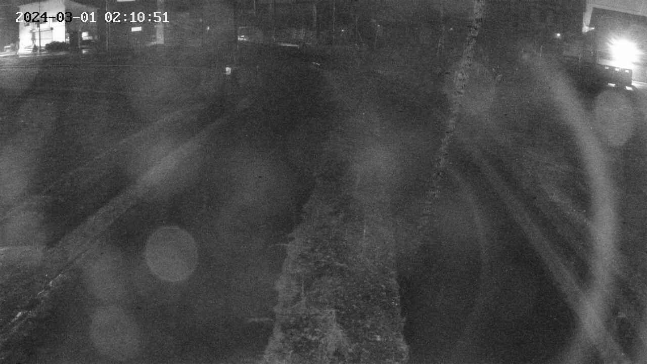 area11-20240301021052.jpg