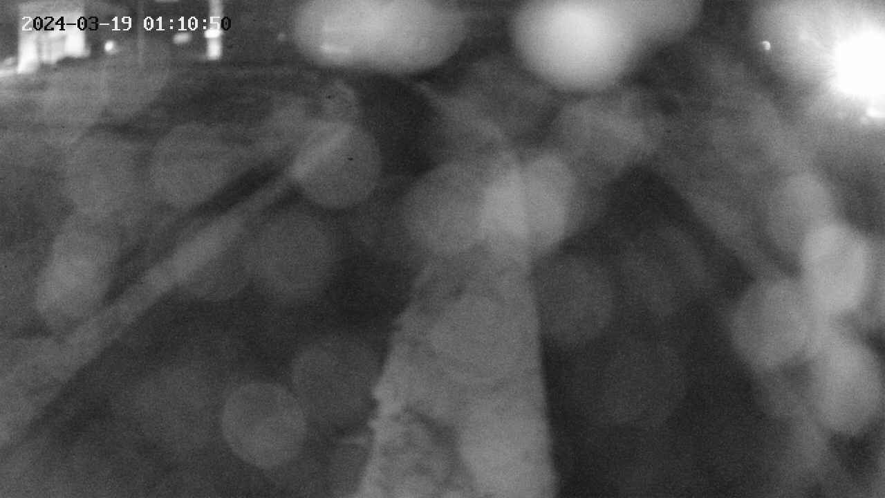 area11-20240319011050.jpg