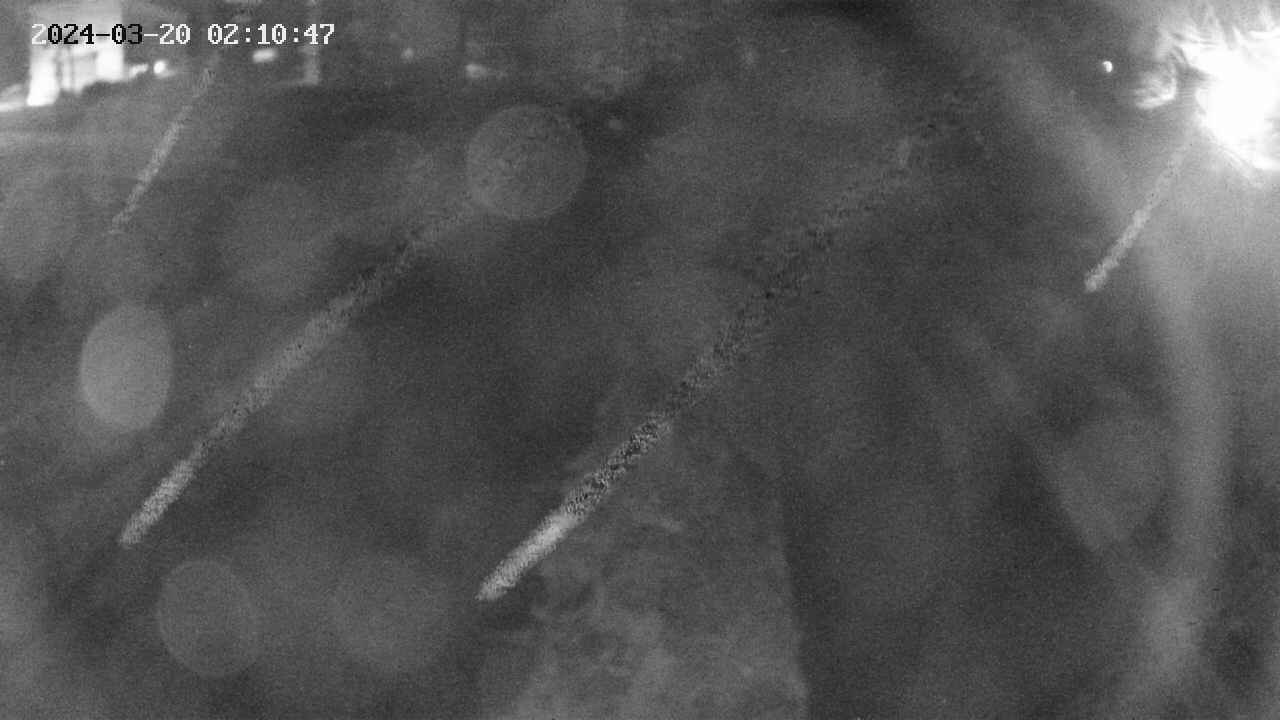 area11-20240320021049.jpg