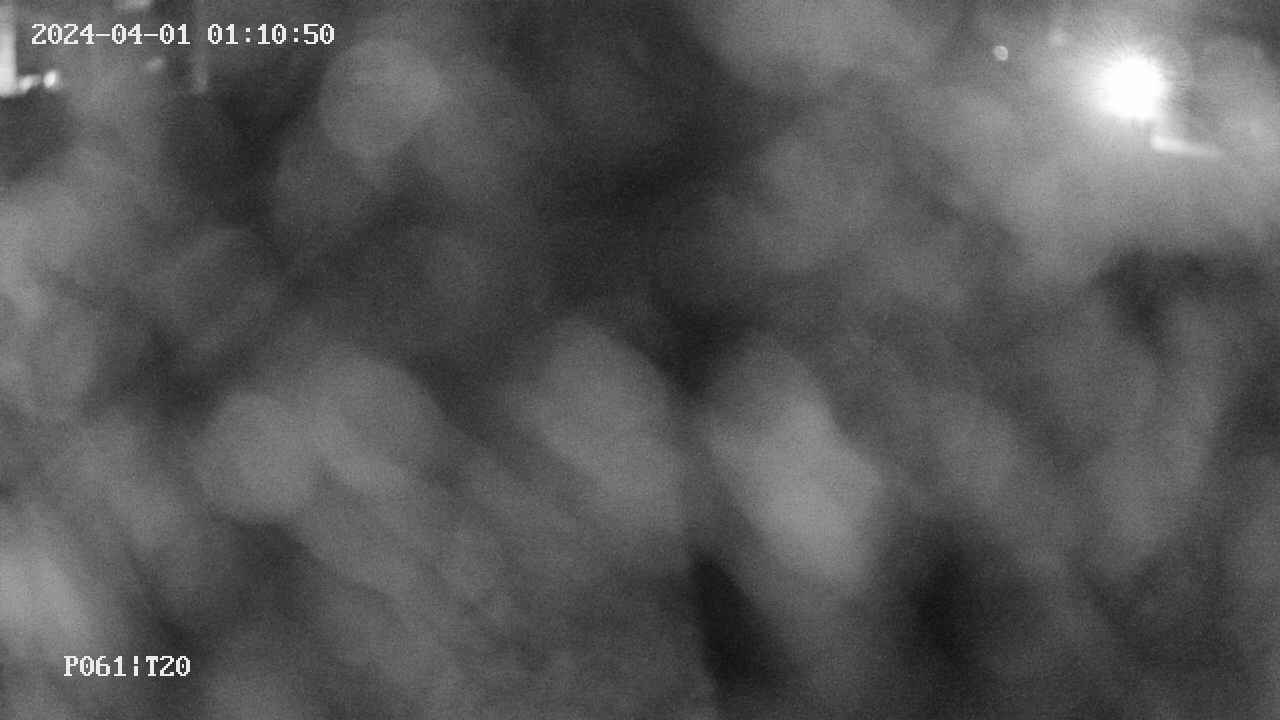 area11-20240401011051.jpg