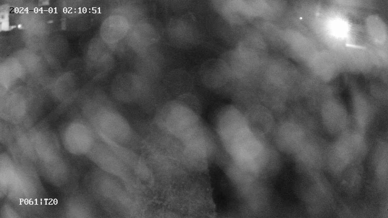 area11-20240401021051.jpg