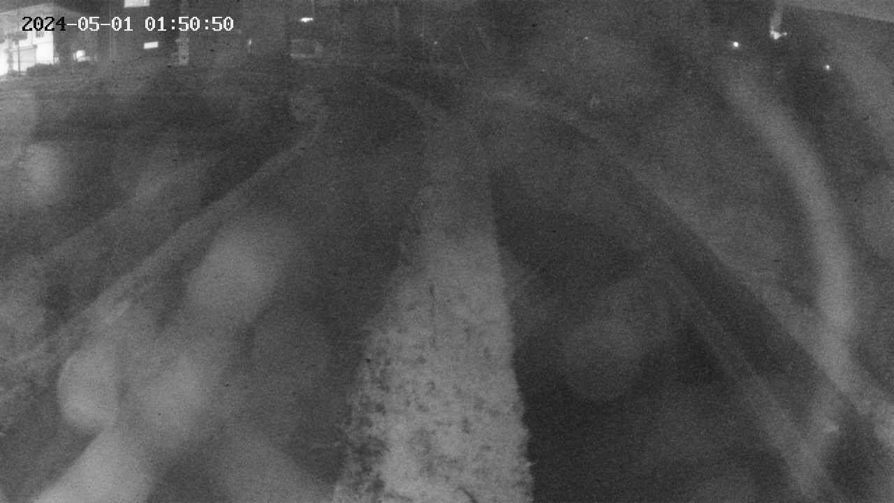 area11-20240501015052.jpg