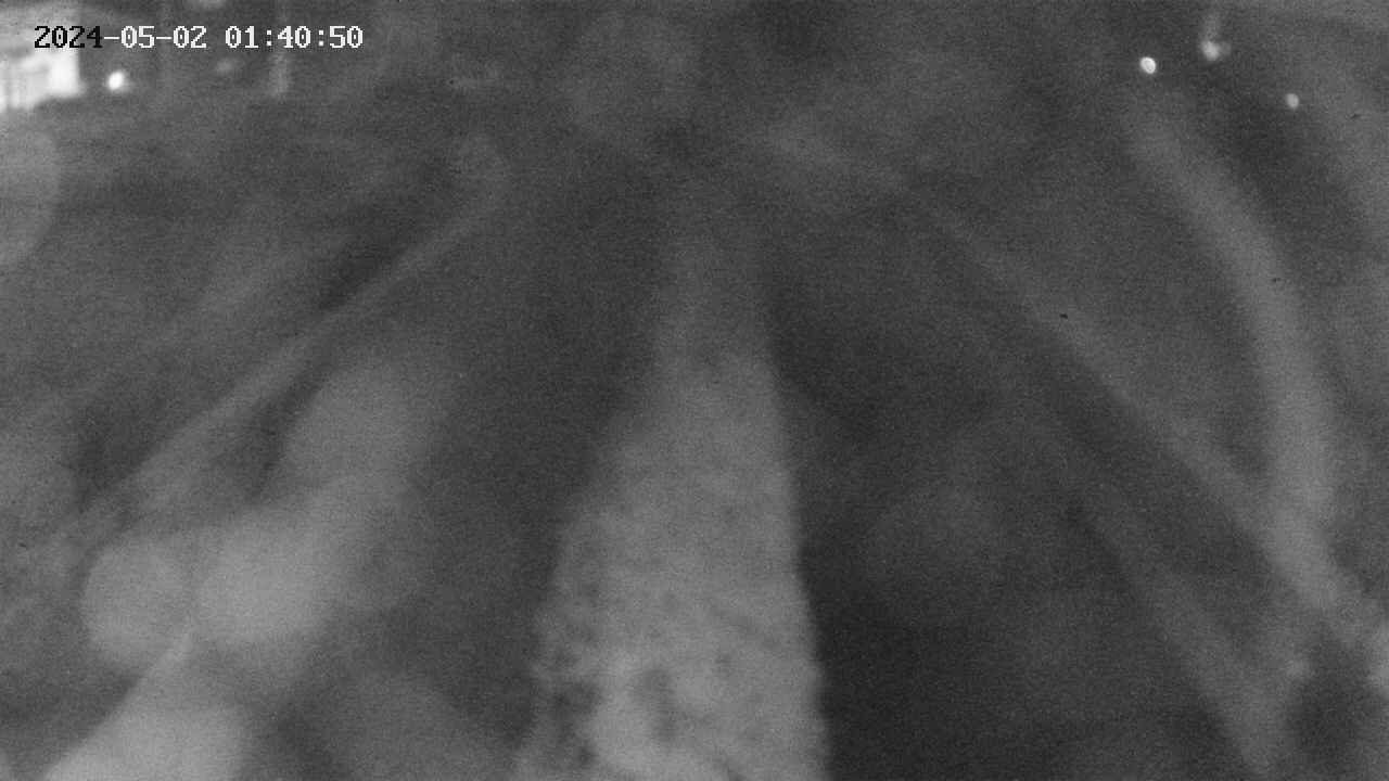 area11-20240502014051.jpg