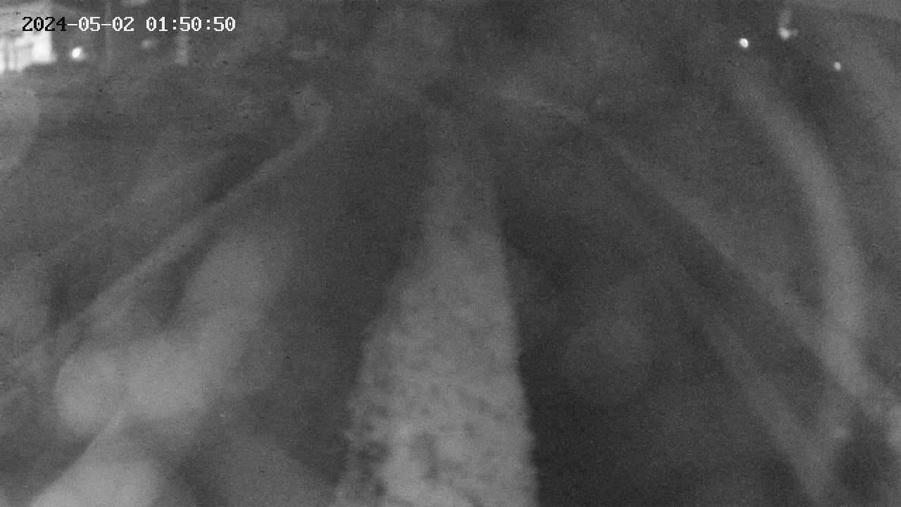 area11-20240502015051.jpg