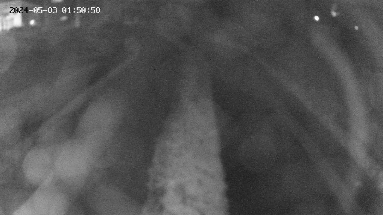 area11-20240503015051.jpg