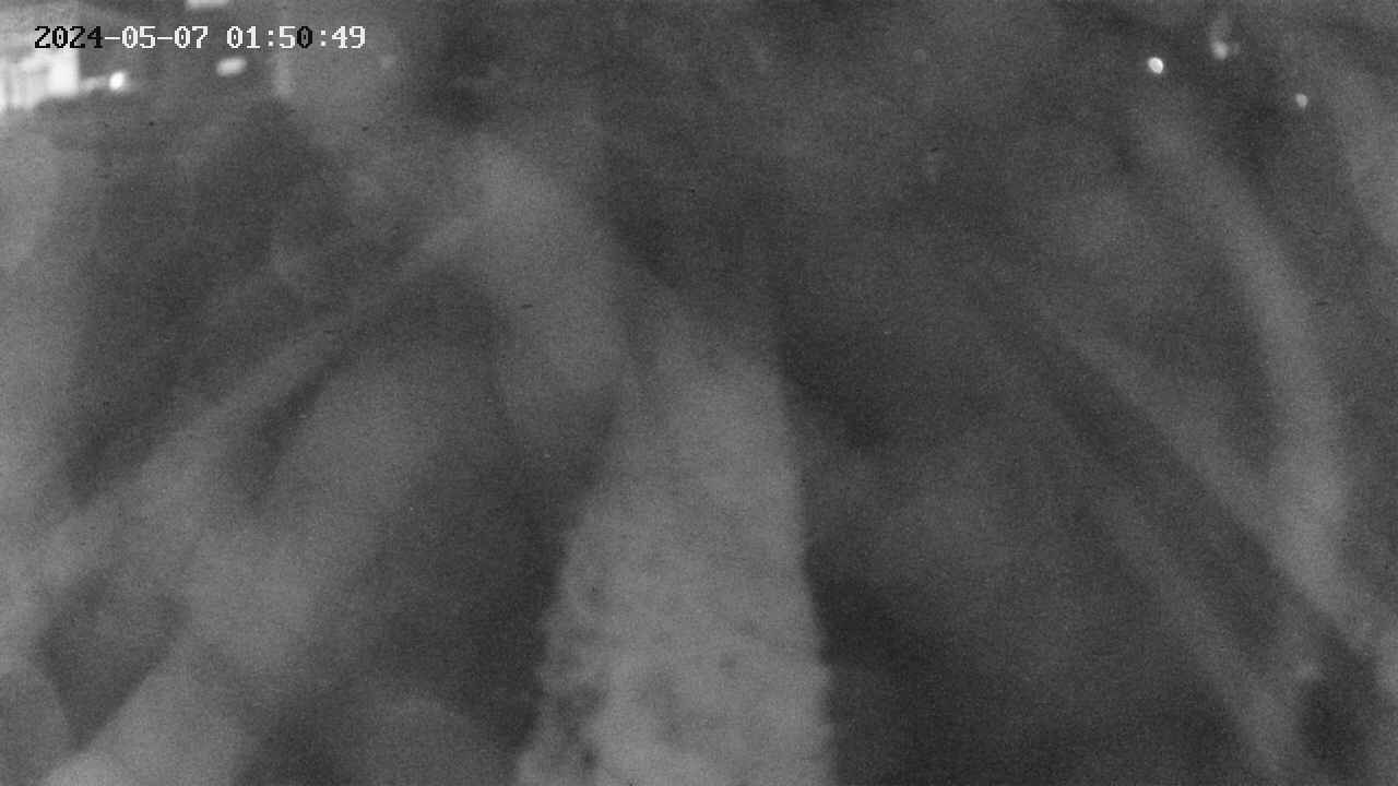 area11-20240507015050.jpg
