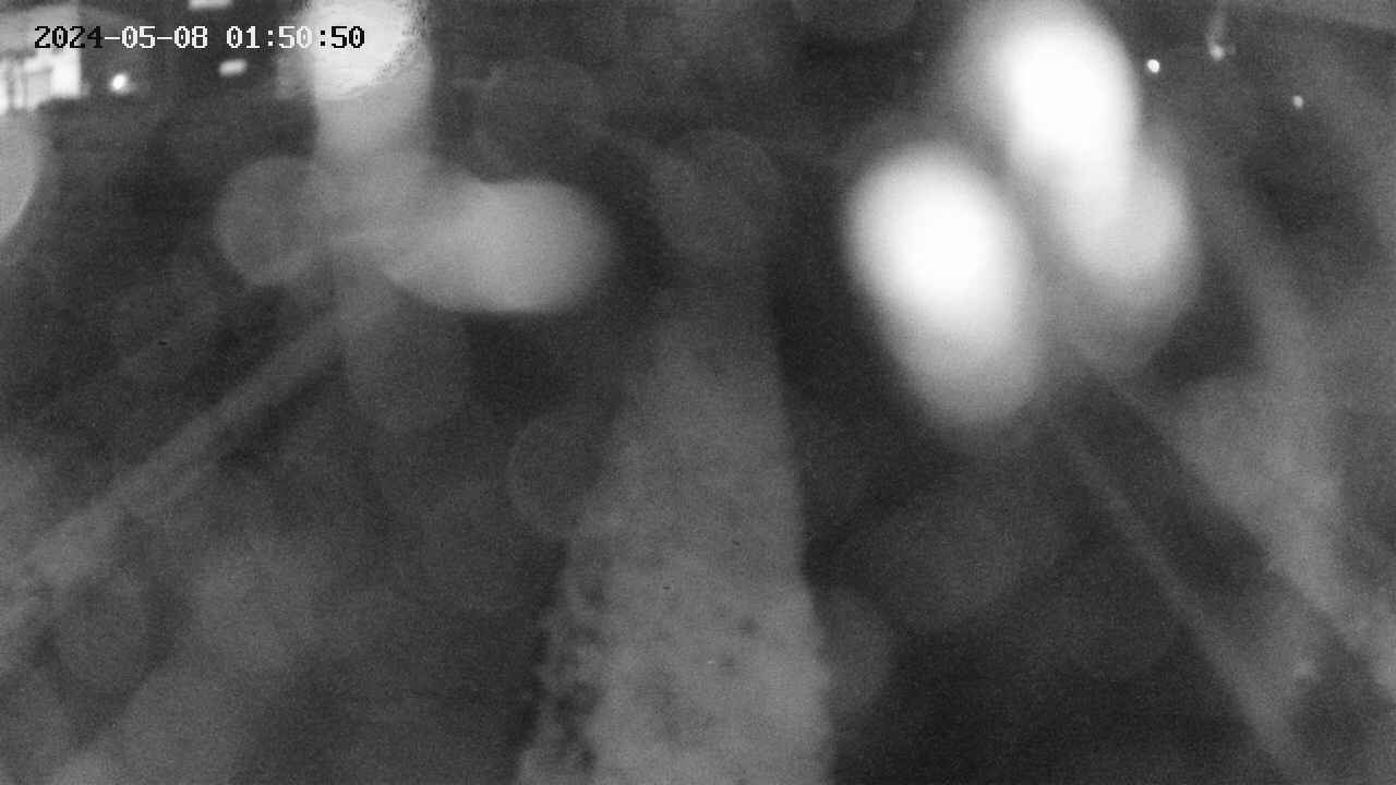 area11-20240508015051.jpg