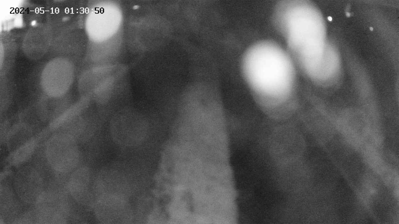 area11-20240510013051.jpg