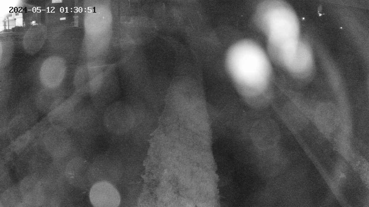 area11-20240512013052.jpg
