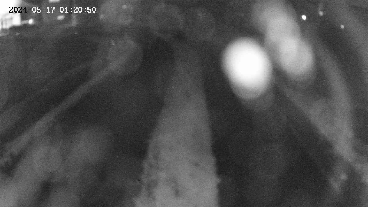 area11-20240517012051.jpg