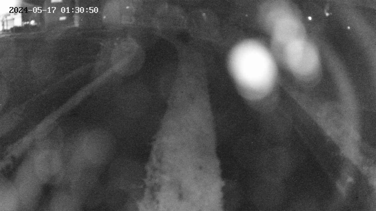 area11-20240517013051.jpg