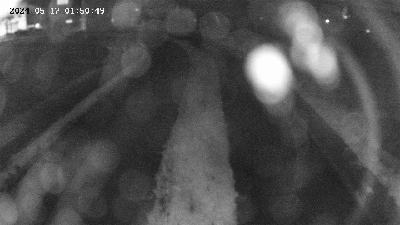 area11-20240517015050.jpg