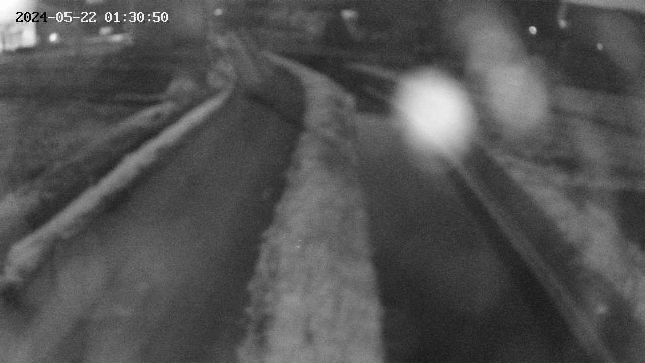 area11-20240522013050.jpg