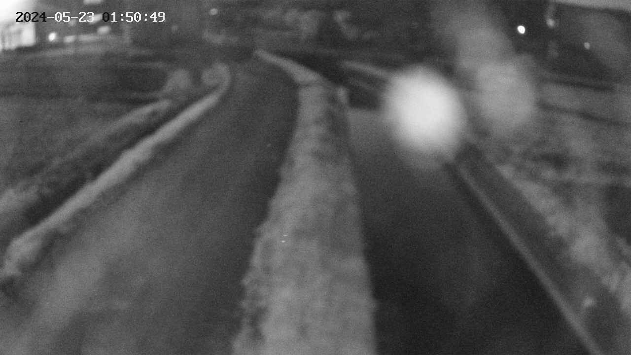 area11-20240523015050.jpg