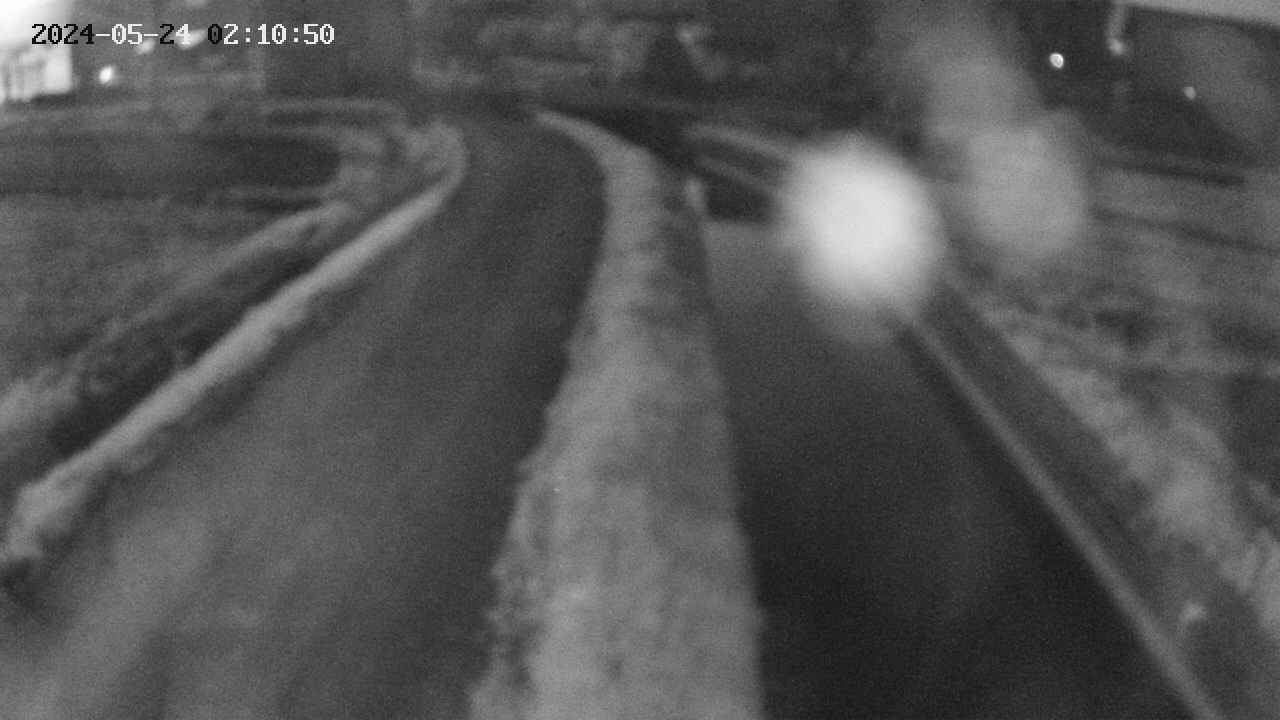 area11-20240524021050.jpg