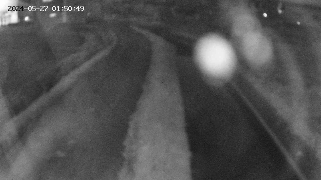 area11-20240527015050.jpg