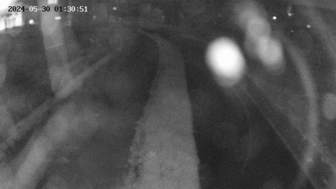 area11-20240530013052.jpg