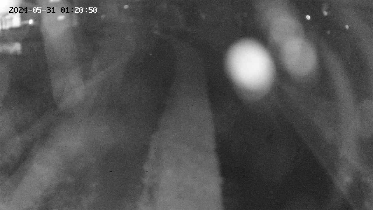 area11-20240531012051.jpg