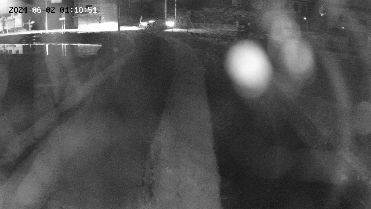 area11-20240602011052.jpg