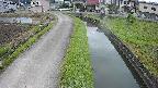 area11-20240606060050.jpg