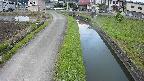 area11-20240606070050.jpg