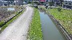 area11-20240606120051.jpg