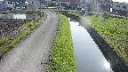 area11-20240606162051.jpg