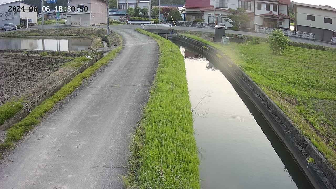 area11-20240606183050.jpg
